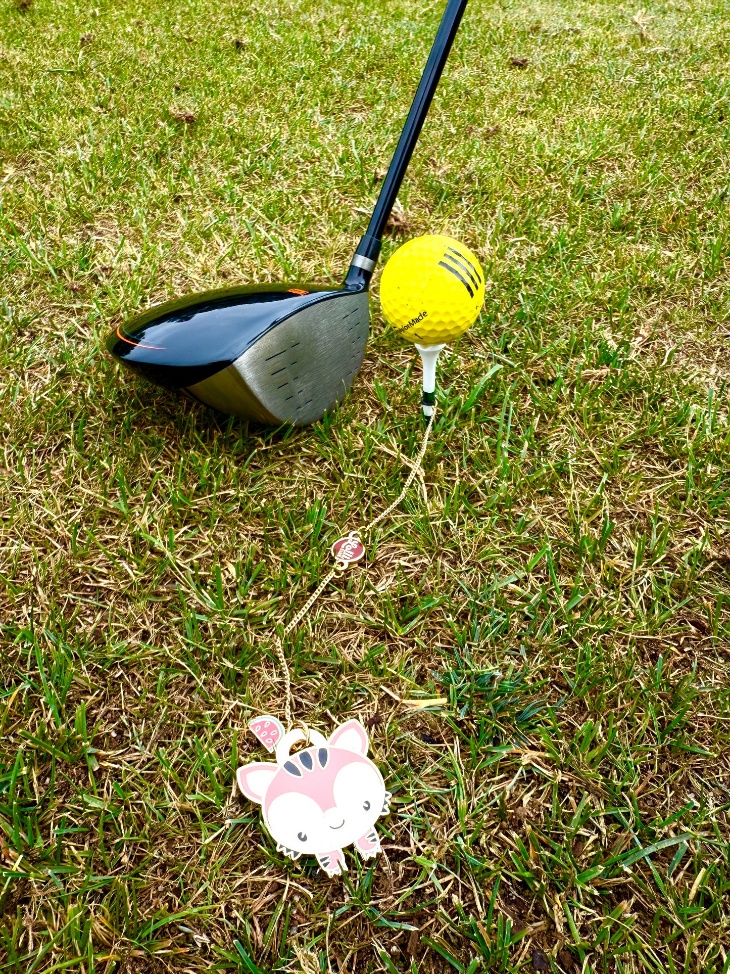 Don’t Fly Away Tee Hanger